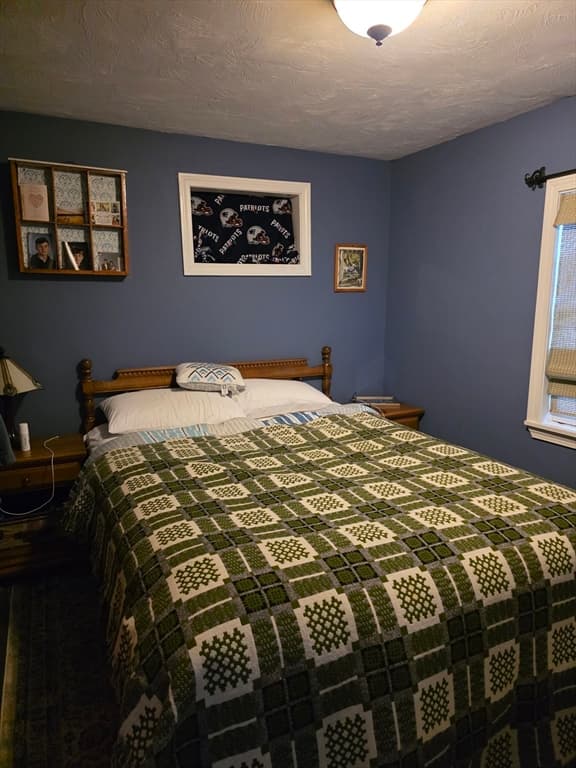 13 Pond View Way, Carver MA 02330 photo 11