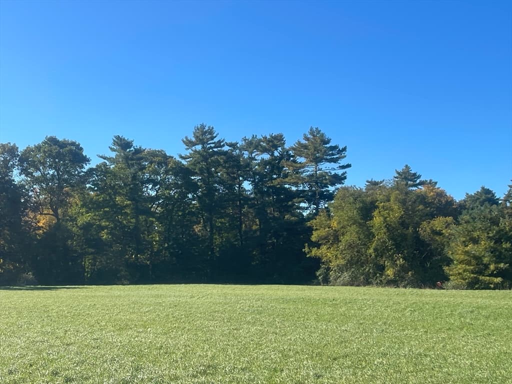 295 Cherry St, Middleboro MA 02346 photo 13