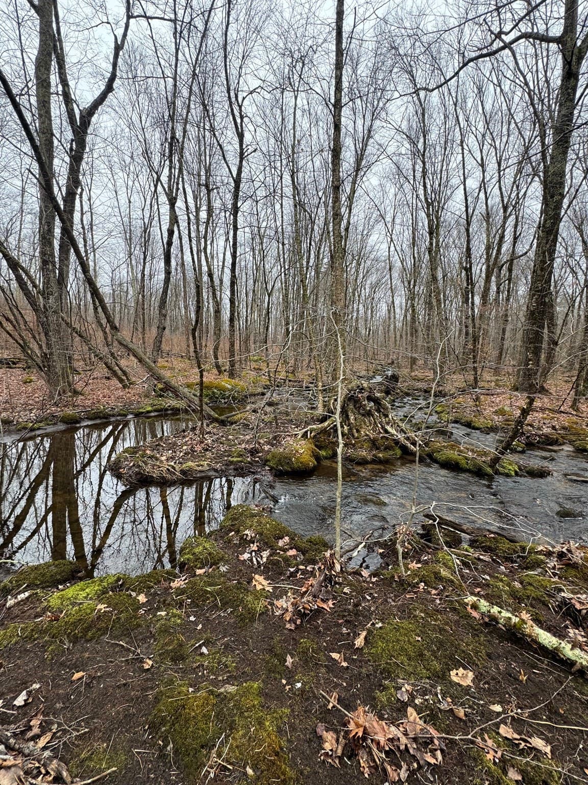 Residential at 138 Ragged Hill Rd, West Brookfield MA 01585, photo 6 of 23