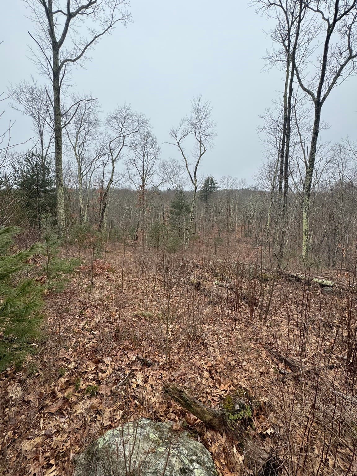 Residential at 138 Ragged Hill Rd, West Brookfield MA 01585, photo 11 of 23