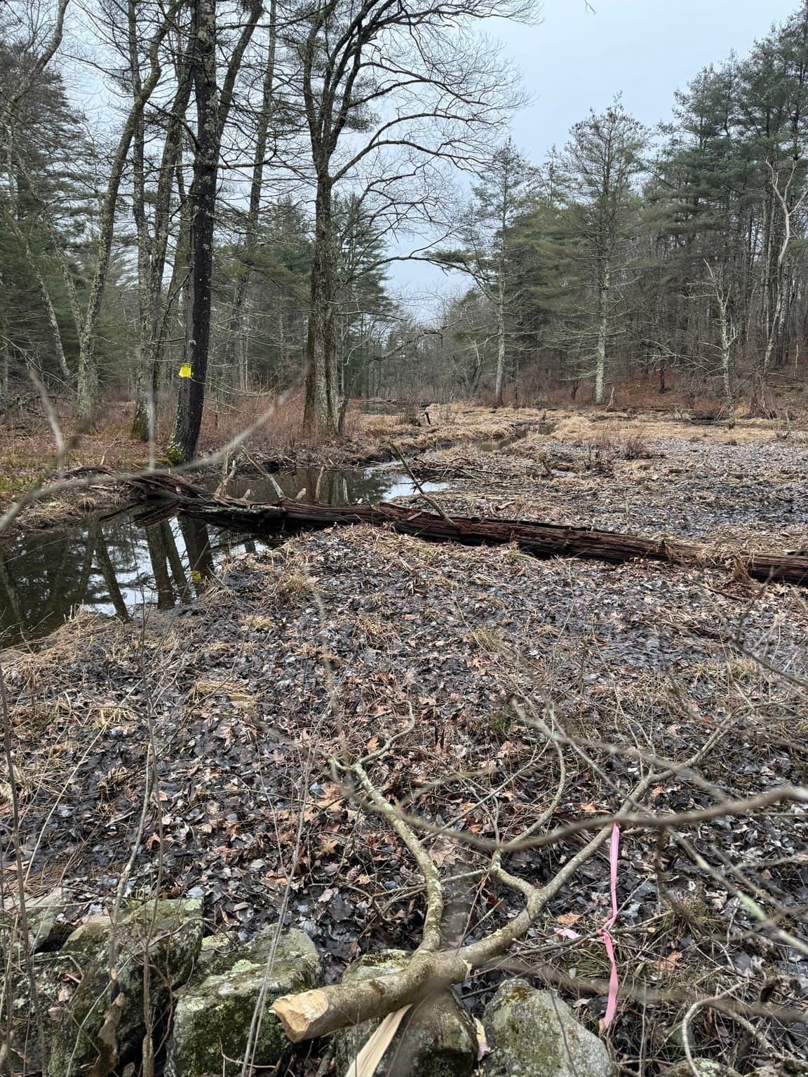 Residential at 138 Ragged Hill Rd, West Brookfield MA 01585, photo 8 of 23