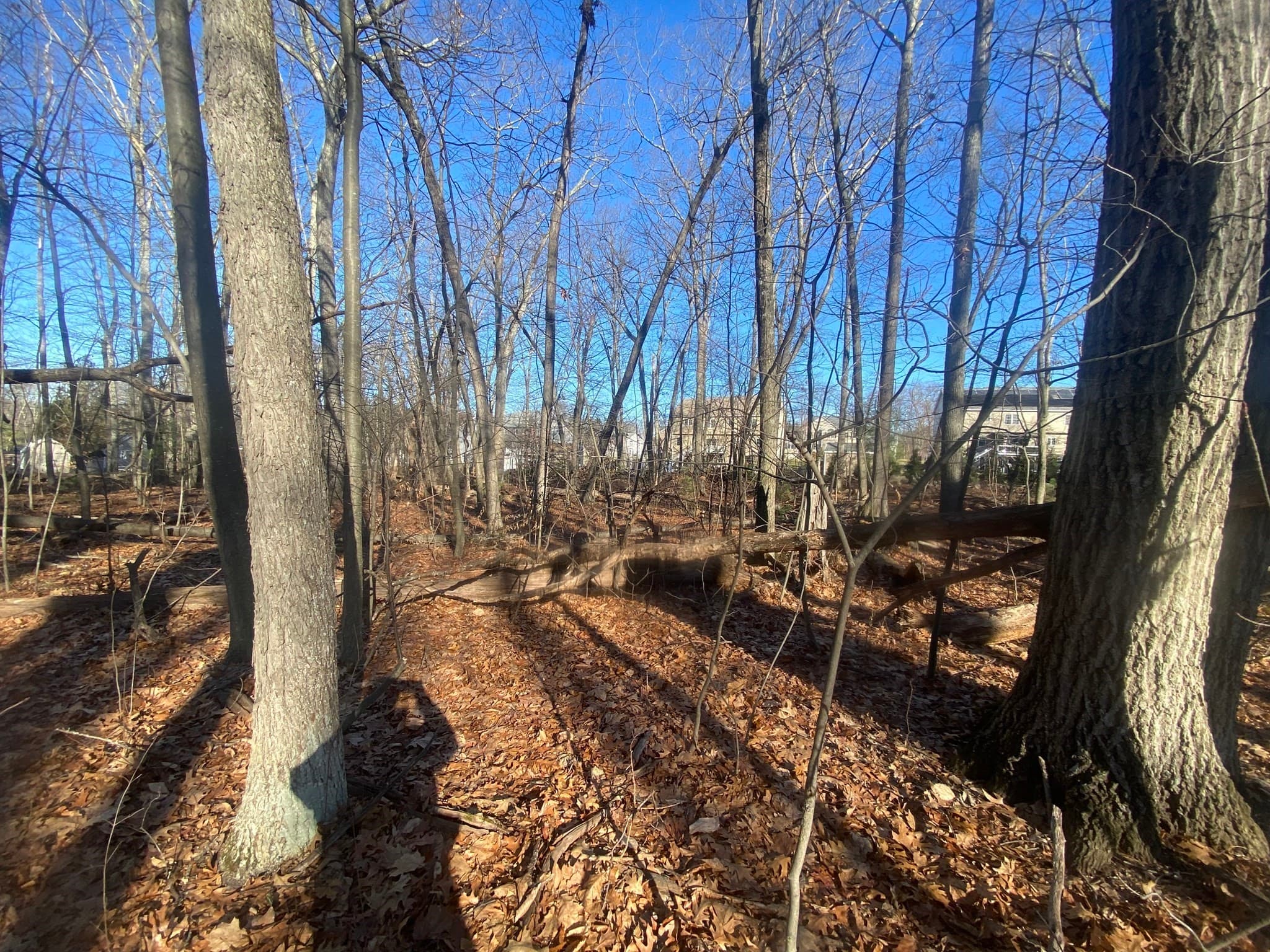 Residential at 43 & 53 5th St, Dracut MA 01826, photo 16 of 16
