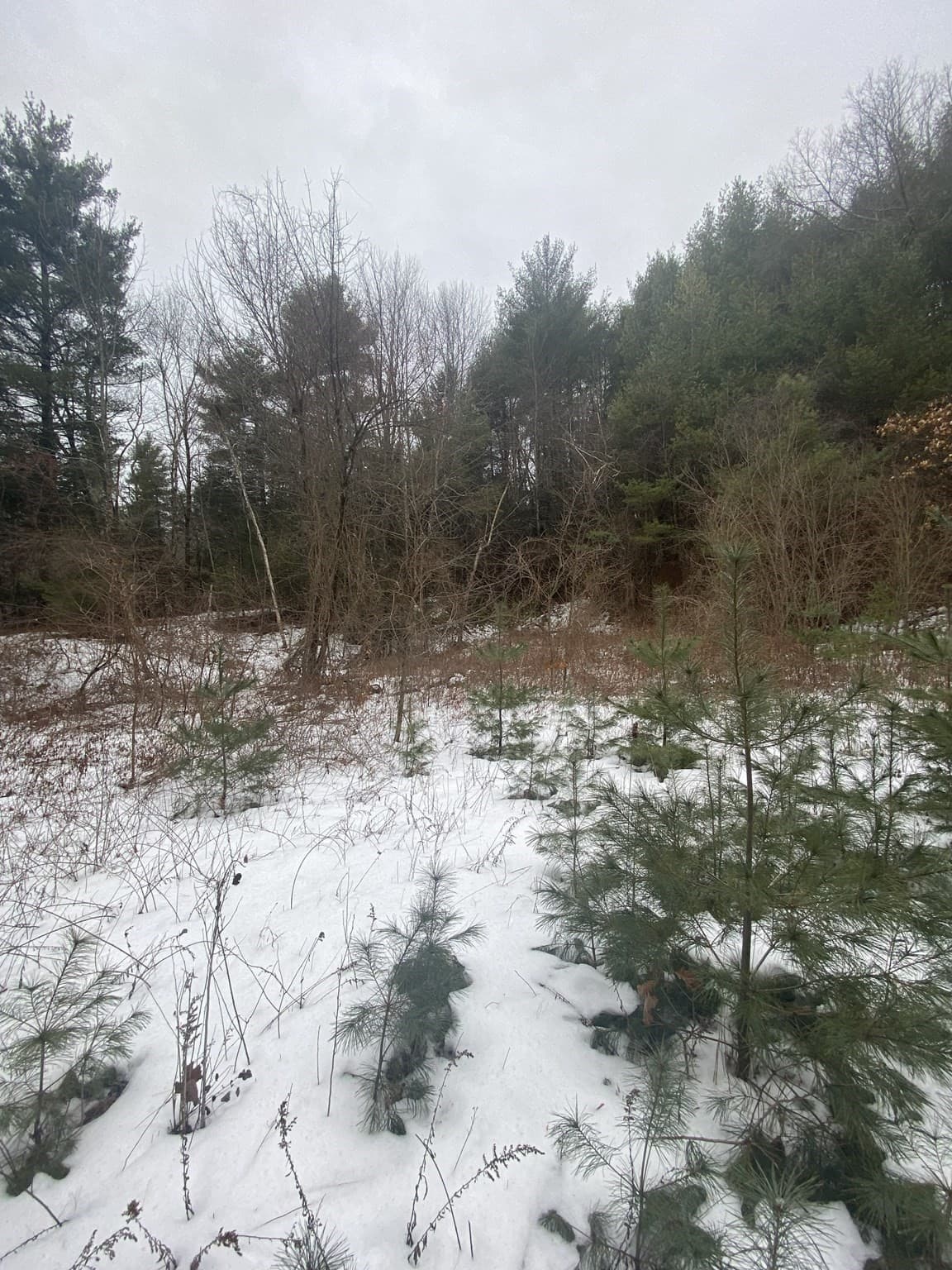 Residential at Lots 1&2 Wales Rd, Brimfield MA 01010, photo 6 of 11