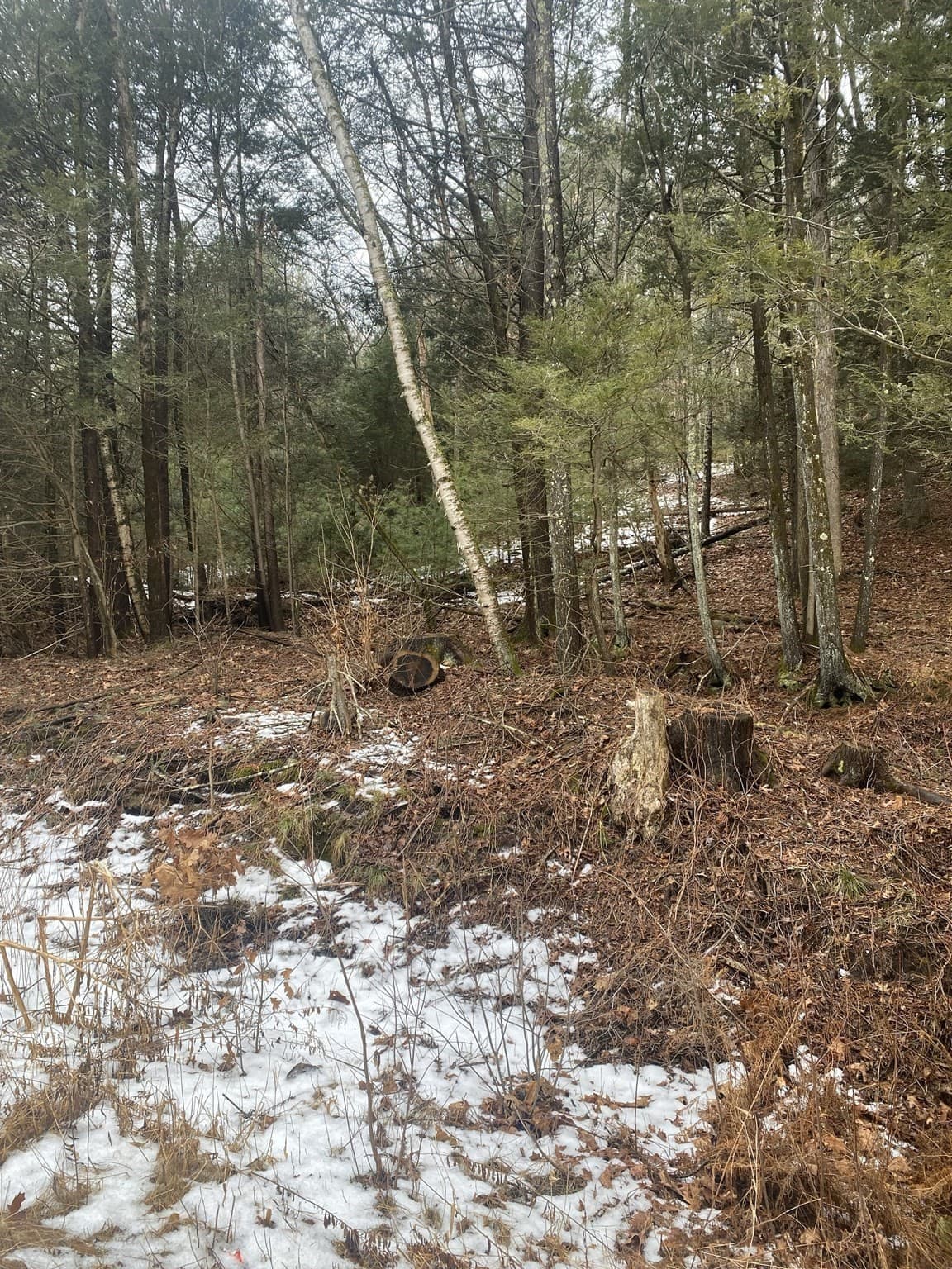 Residential at Lots 1&2 Wales Rd, Brimfield MA 01010, photo 11 of 11