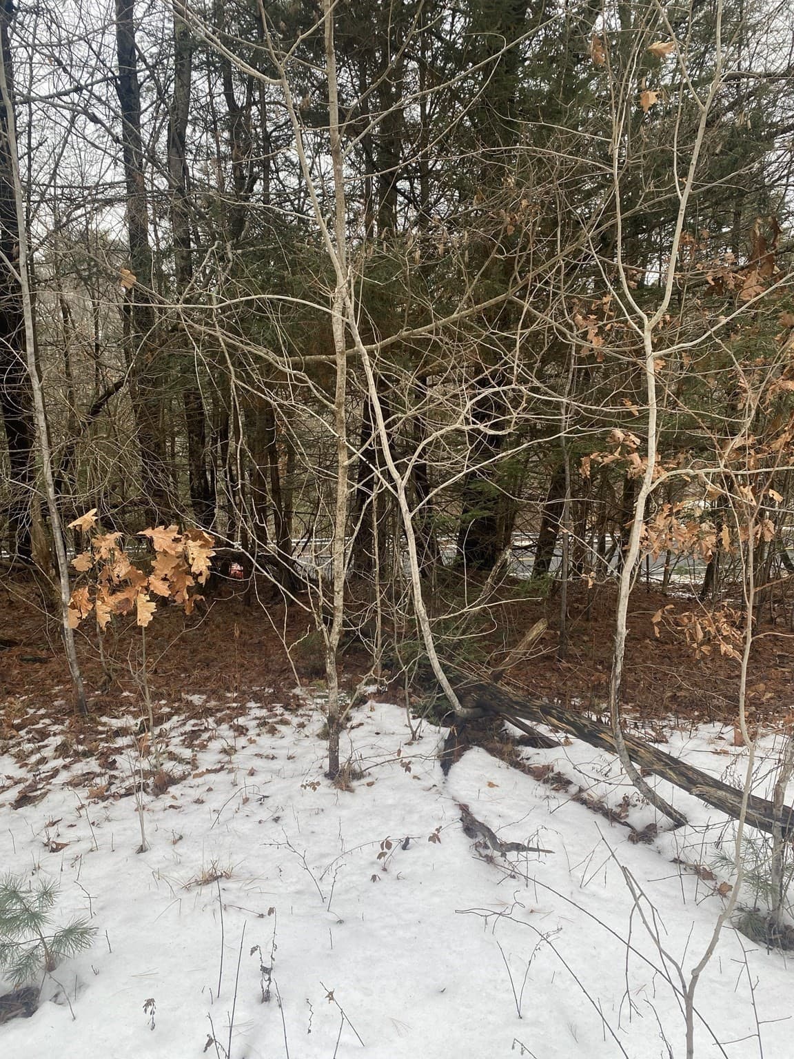 Residential at Lots 1&2 Wales Rd, Brimfield MA 01010, photo 8 of 11