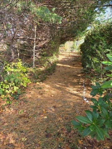 Single Family Residence at 1061 State Highway # 4, Eastham MA 02642, photo 20 of 27