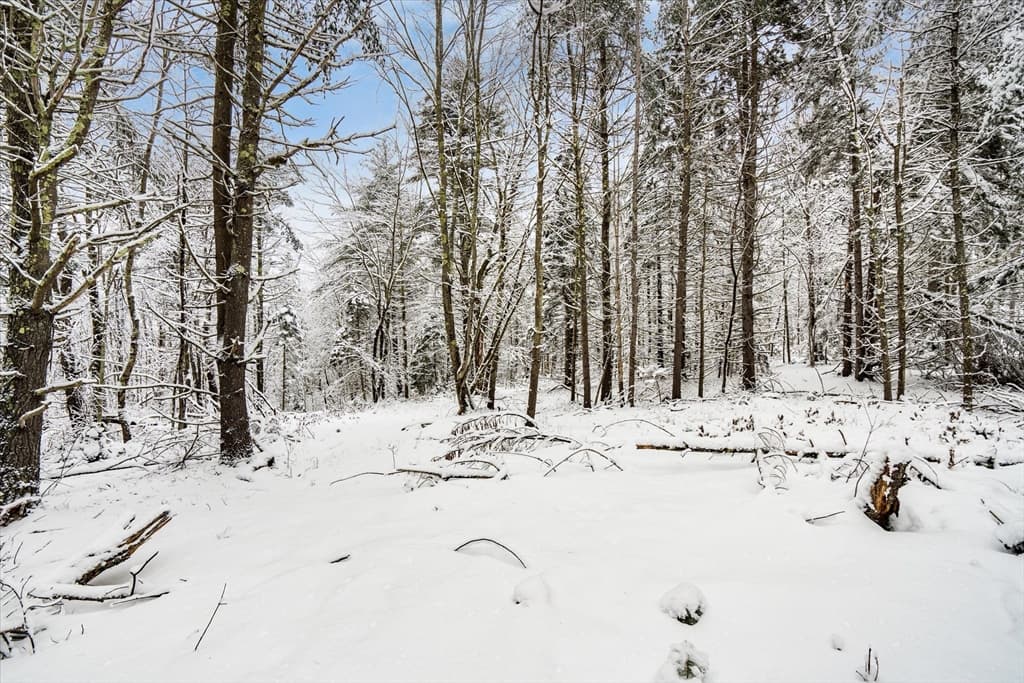 Single Family Residence at 750 Teel Rd, Winchendon MA 01475, Winchendon, photo 40 of 41