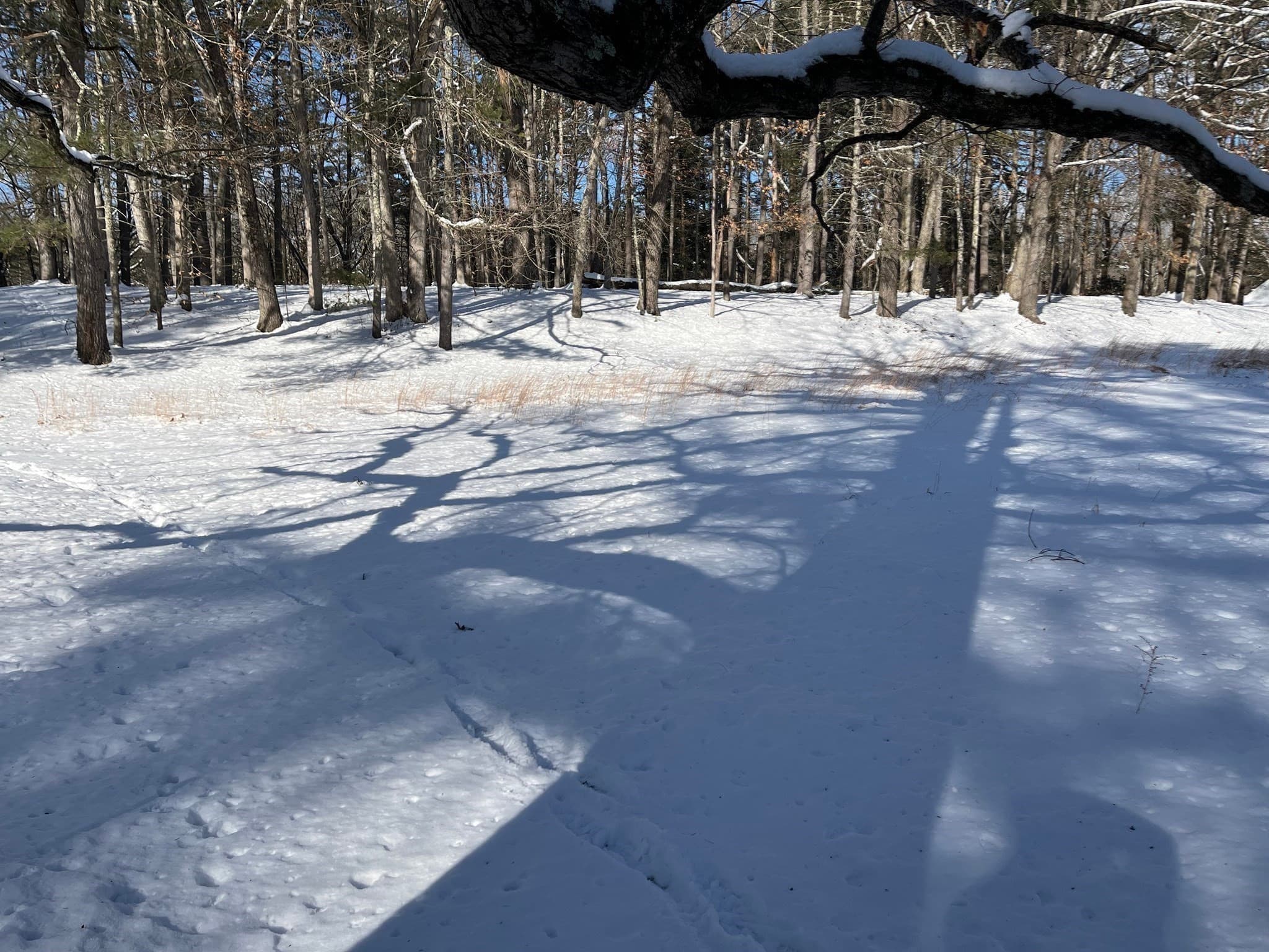 Residential at 723 Lot B Ryan Rd, Northampton MA 01062, Northampton, photo 16 of 20