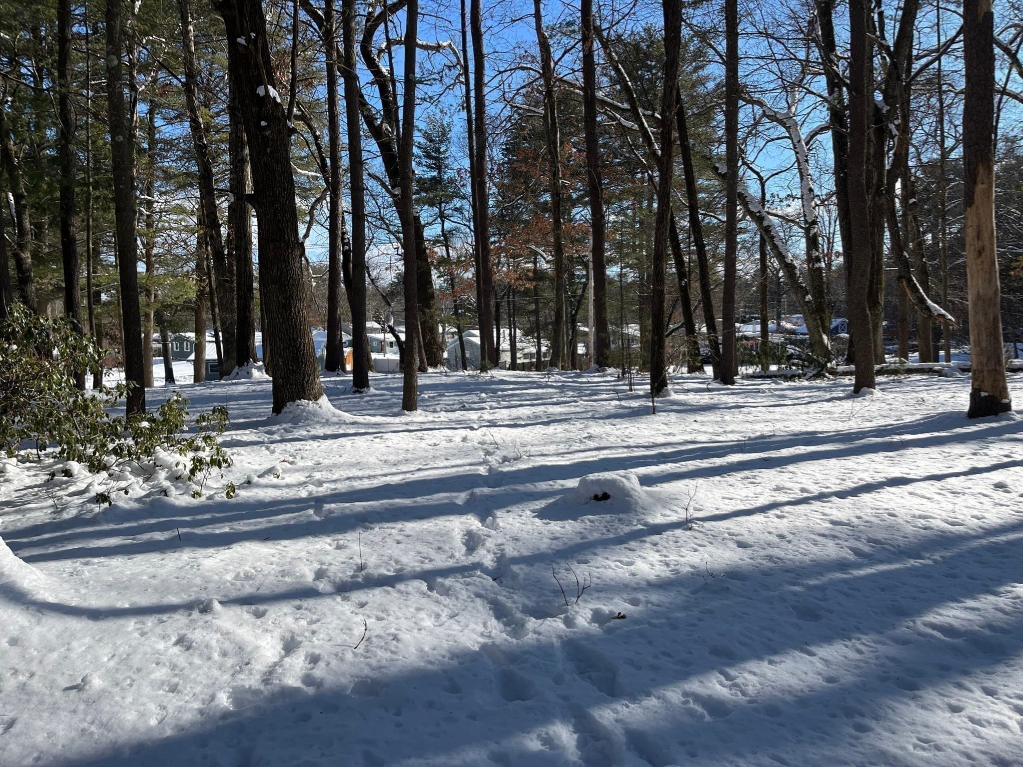 Residential at 723 Lot B Ryan Rd, Northampton MA 01062, Northampton, photo 11 of 20