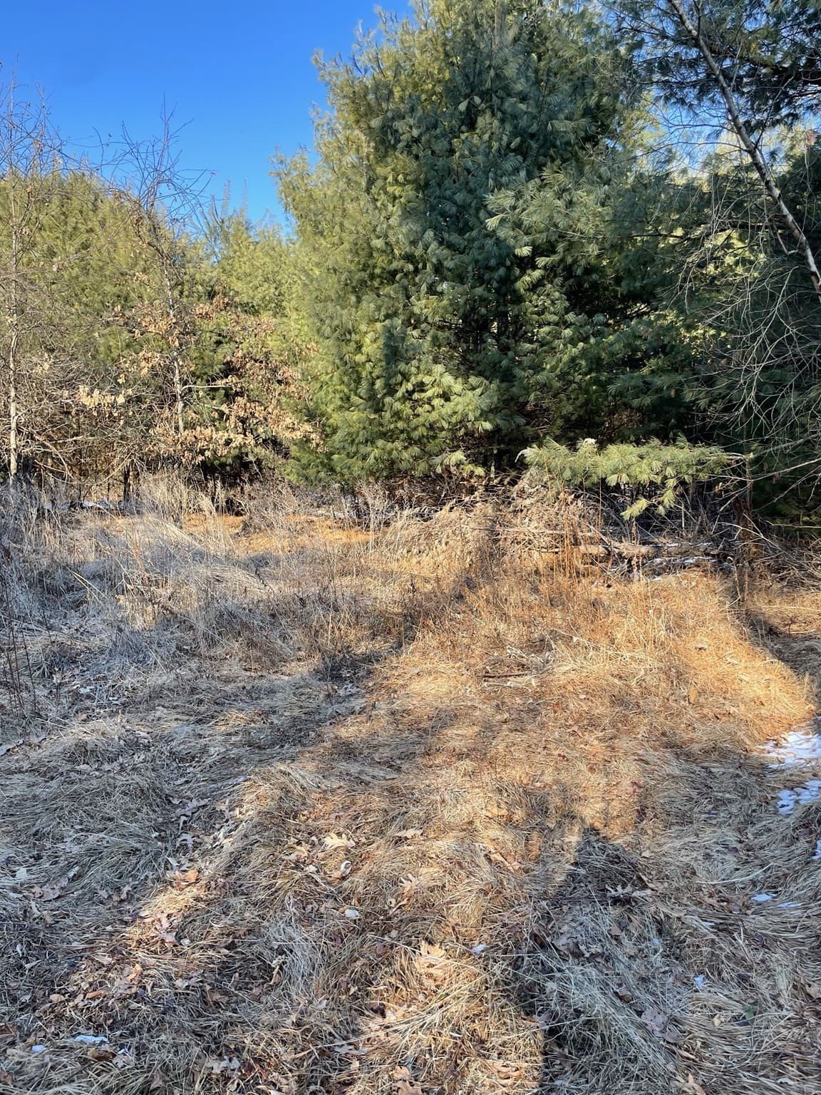 Residential at 14 Sewall Brook Lane, Sherborn MA 01770, photo 6 of 10