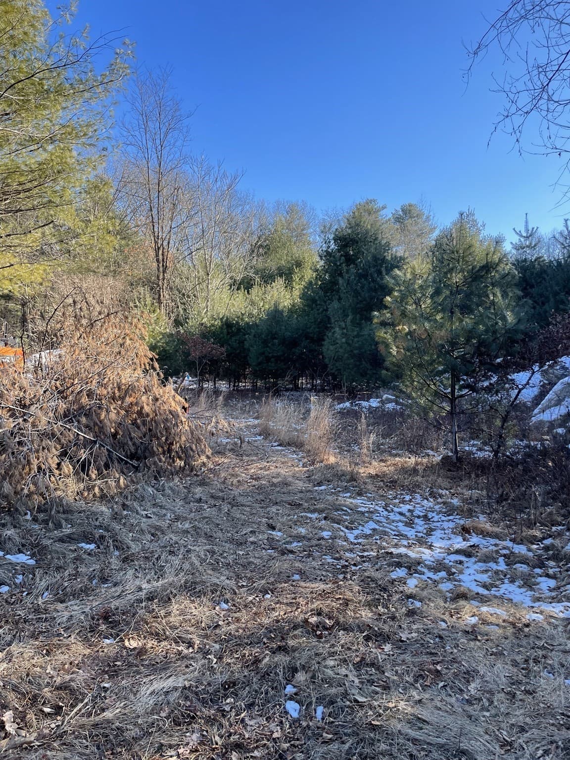 Residential at 14 Sewall Brook Lane, Sherborn MA 01770, photo 7 of 10