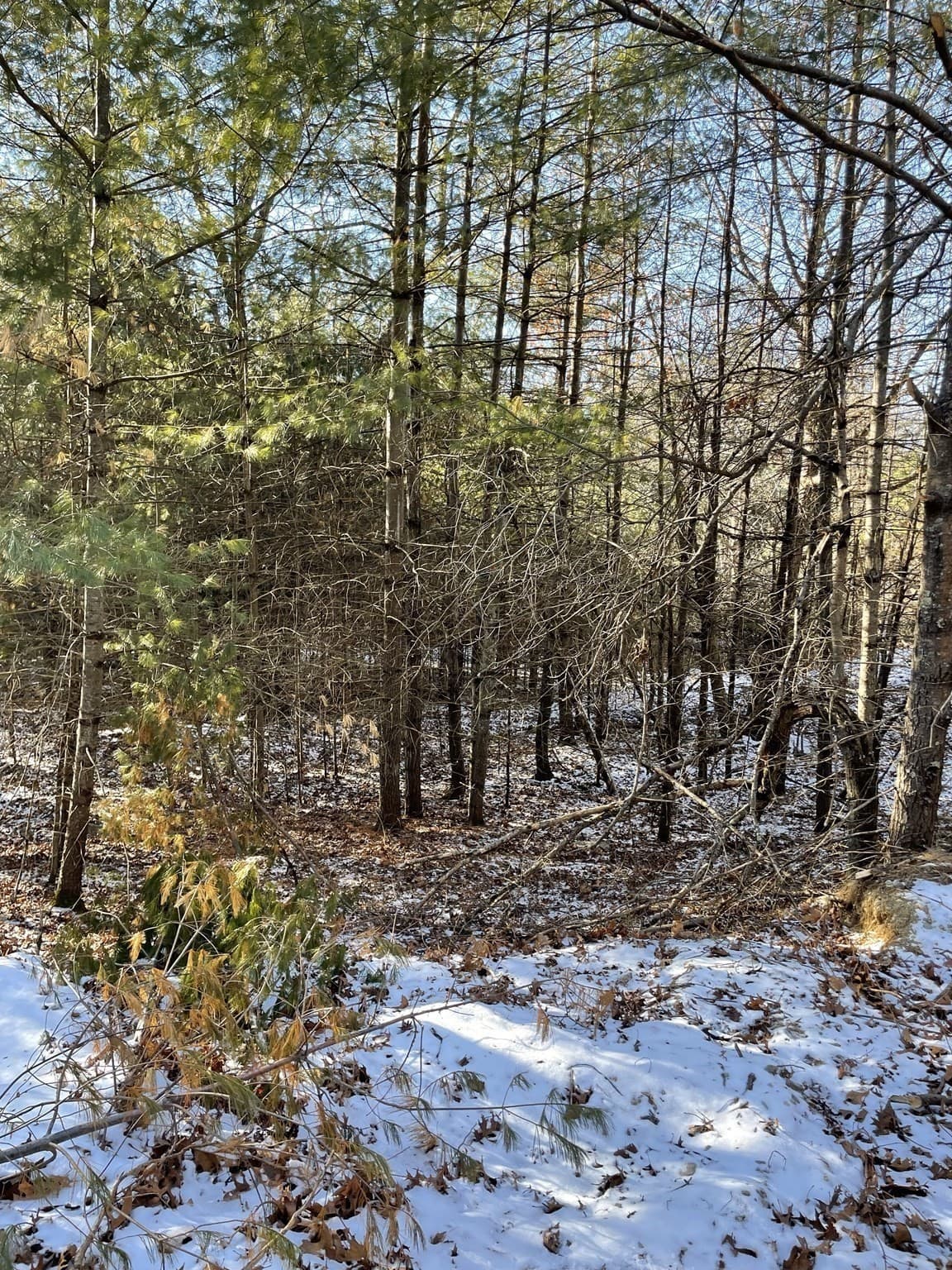 Residential at 14 Sewall Brook Lane, Sherborn MA 01770, photo 10 of 10