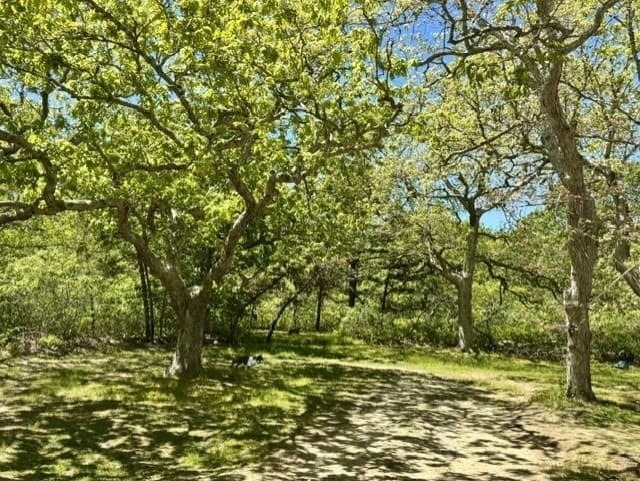 Single Family Residence at 47 Quenames Rd, Chilmark MA 02535, photo 2 of 8