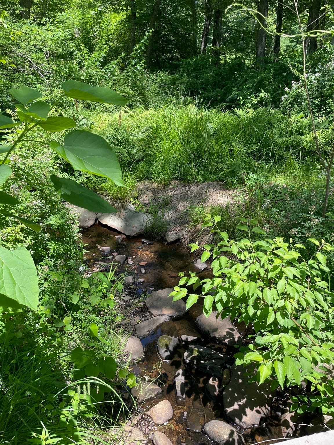 Residential at 30 Sammy's Lane, Freetown MA 02702, Freetown, photo 5 of 11