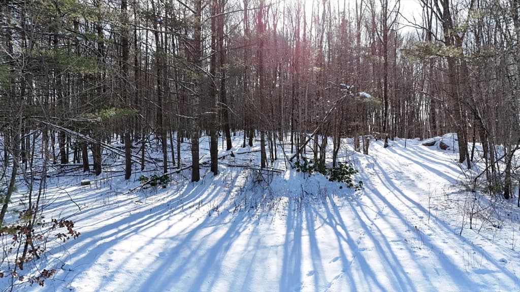 6 Gillespie Rd, Charlton MA 01507 photo 12