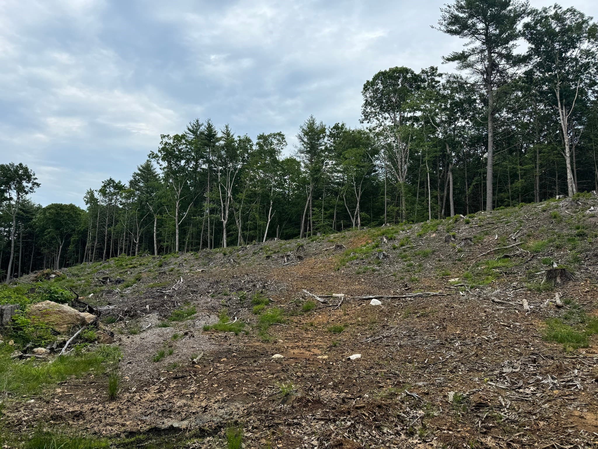 Residential at 0 Alpine, Southbridge MA 01550, photo 3 of 4