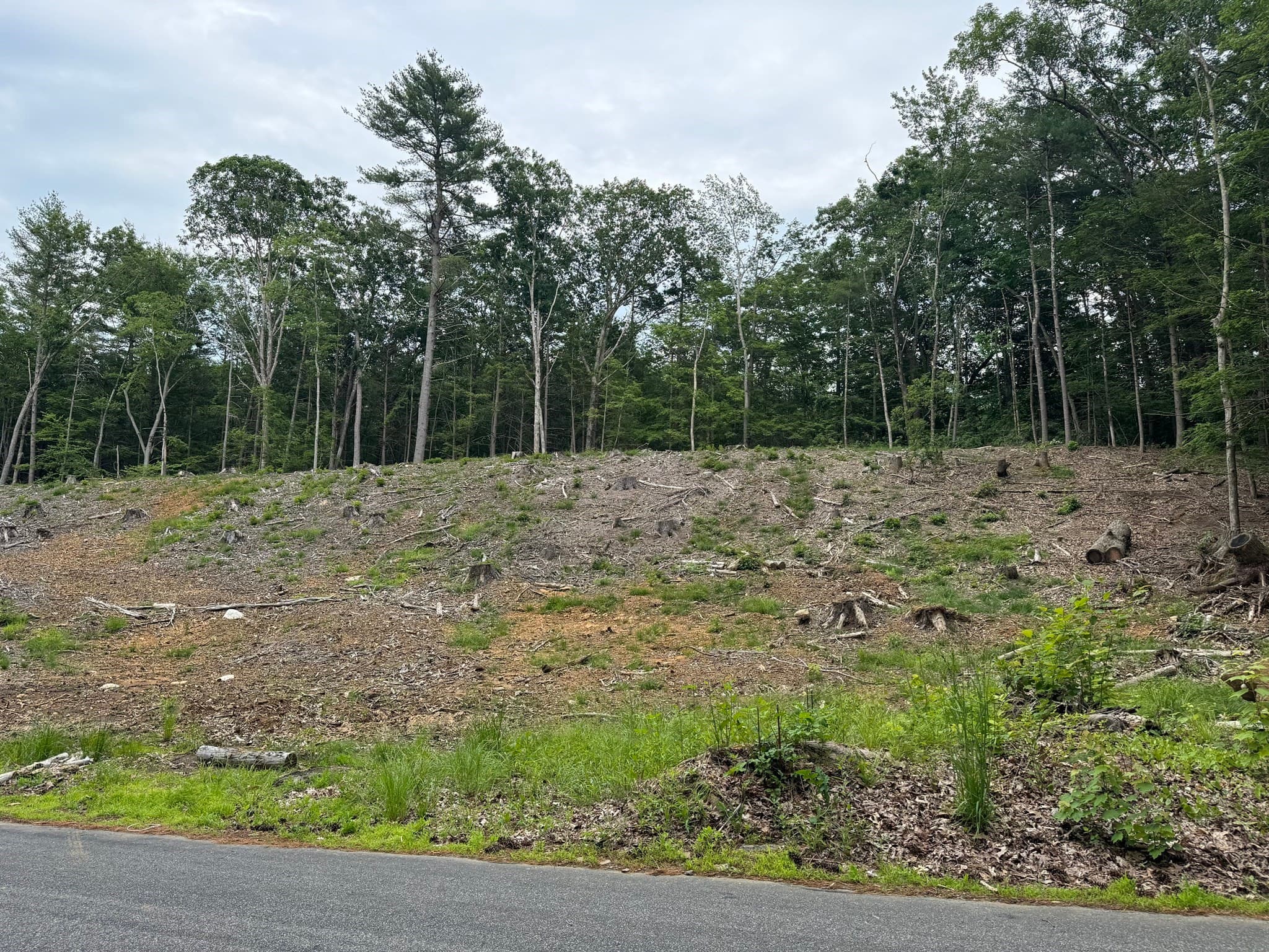0 Alpine, Southbridge MA 01550