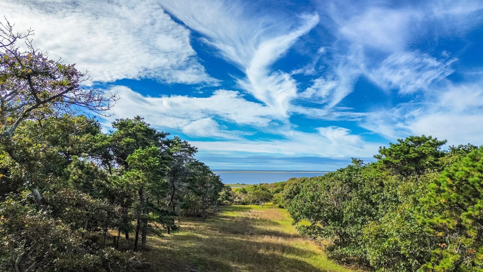 9 Maqua Way, Edgartown MA 02539