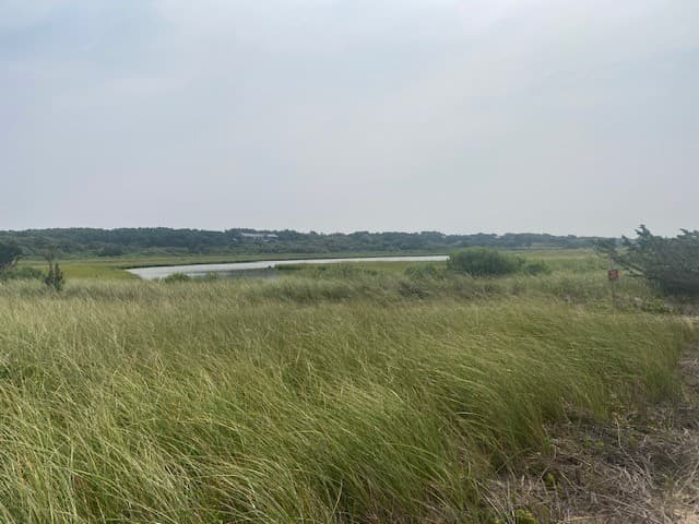 Residential at 9 Maqua Way, Edgartown MA 02539, photo 9 of 10