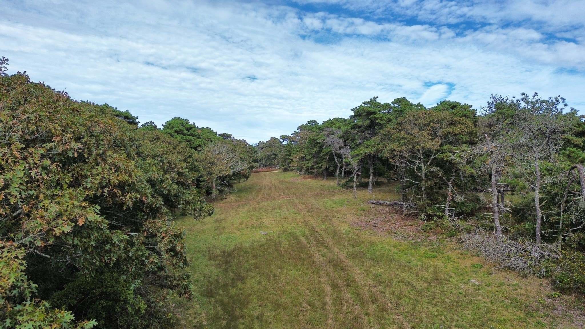 Residential at 9 Maqua Way, Edgartown MA 02539, photo 10 of 10
