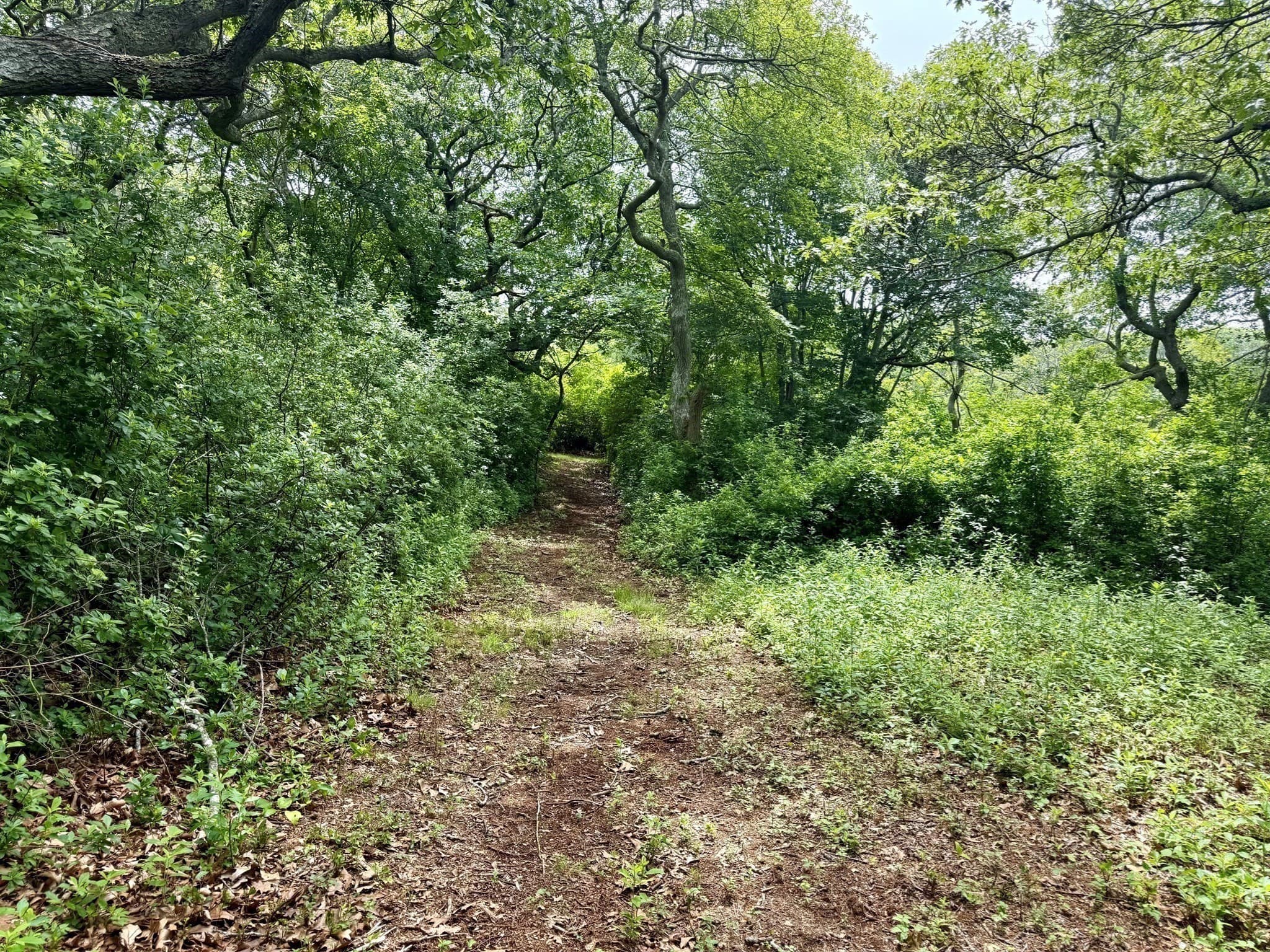 Residential at 00 Old Field Rd, Aquinnah MA 02535, photo 7 of 13