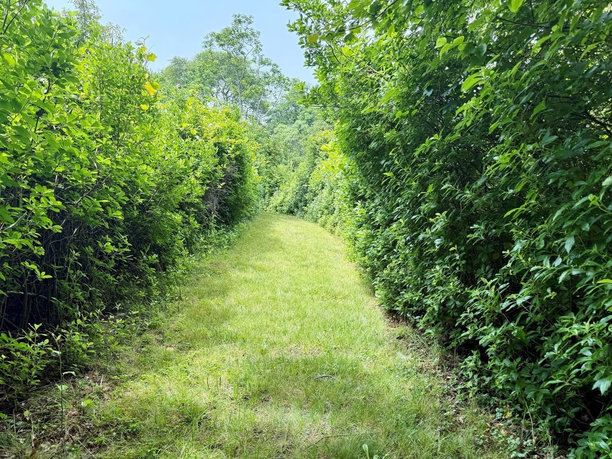 Residential at 00 Old Field Rd, Aquinnah MA 02535, photo 9 of 13