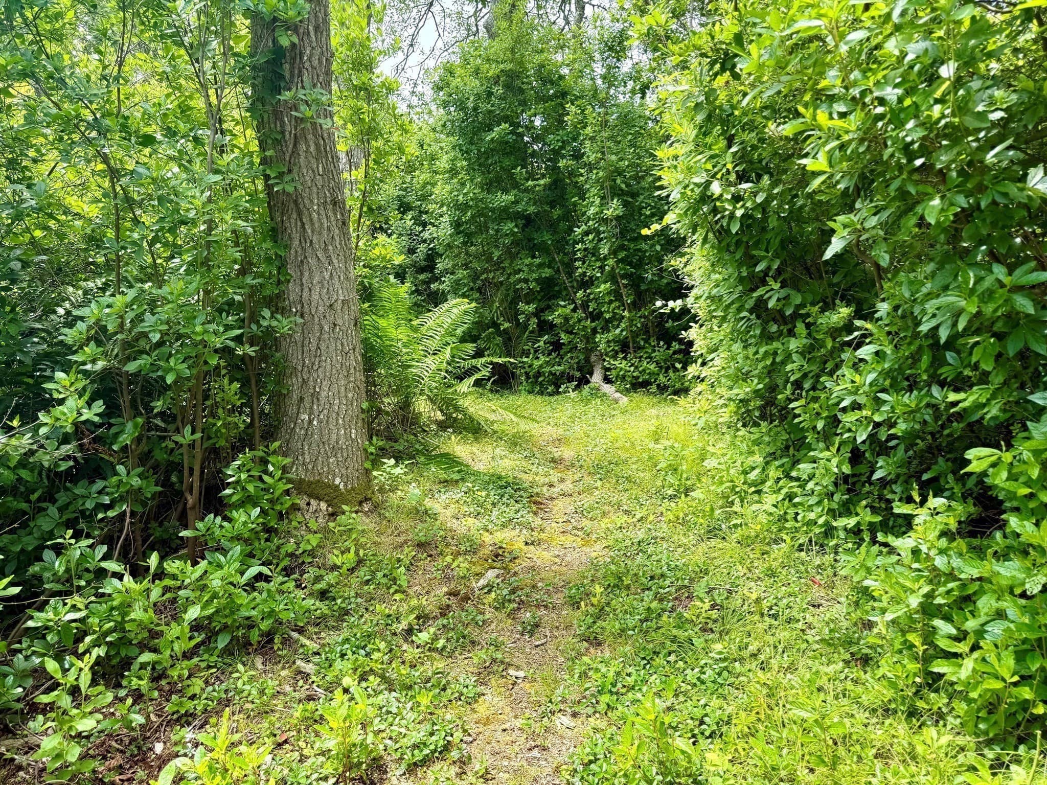 Residential at 00 Old Field Rd, Aquinnah MA 02535, photo 10 of 13