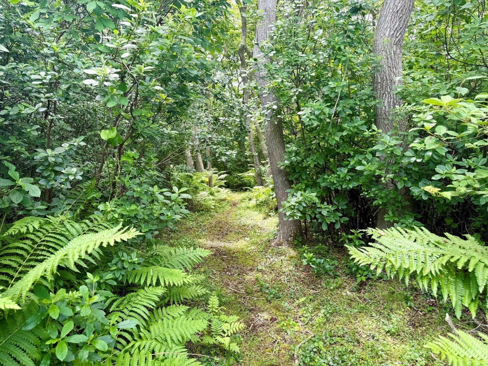 Residential at 00 Old Field Rd, Aquinnah MA 02535, photo 11 of 13