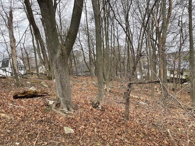 Residential at 0 Mount Pleasant St, Woburn MA 01801, Woburn, photo 3 of 18