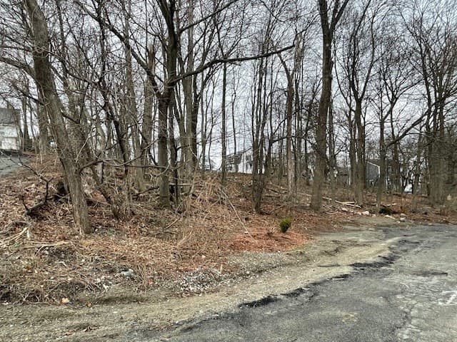 Residential at 0 Mount Pleasant St, Woburn MA 01801, Woburn, photo 5 of 18