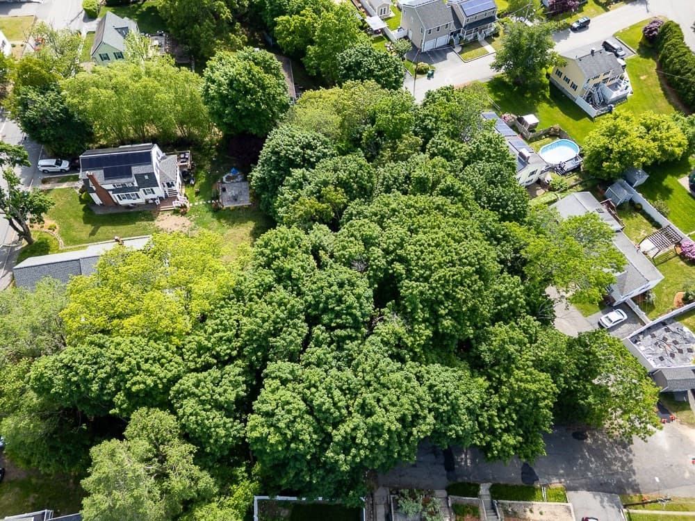 Residential at 0 Mount Pleasant St, Woburn MA 01801, Woburn, photo 9 of 18