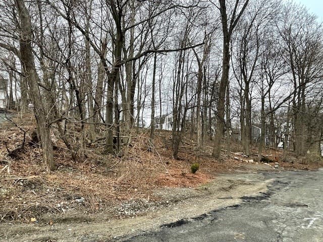 Residential at 0 Mount Pleasant St, Woburn MA 01801, Woburn, photo 4 of 18