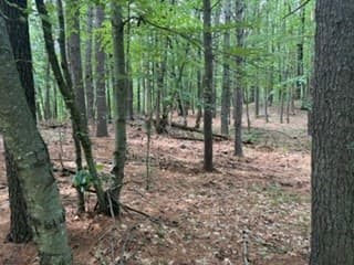 Residential at Lot B Willow Road, Boxford MA 01921, photo 2 of 3