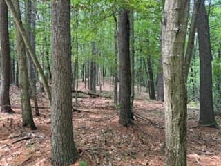 Residential at Lot B Willow Road, Boxford MA 01921, photo 3 of 3