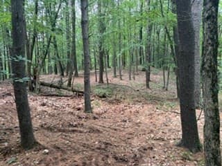 Lot B Willow Road, Boxford MA 01921