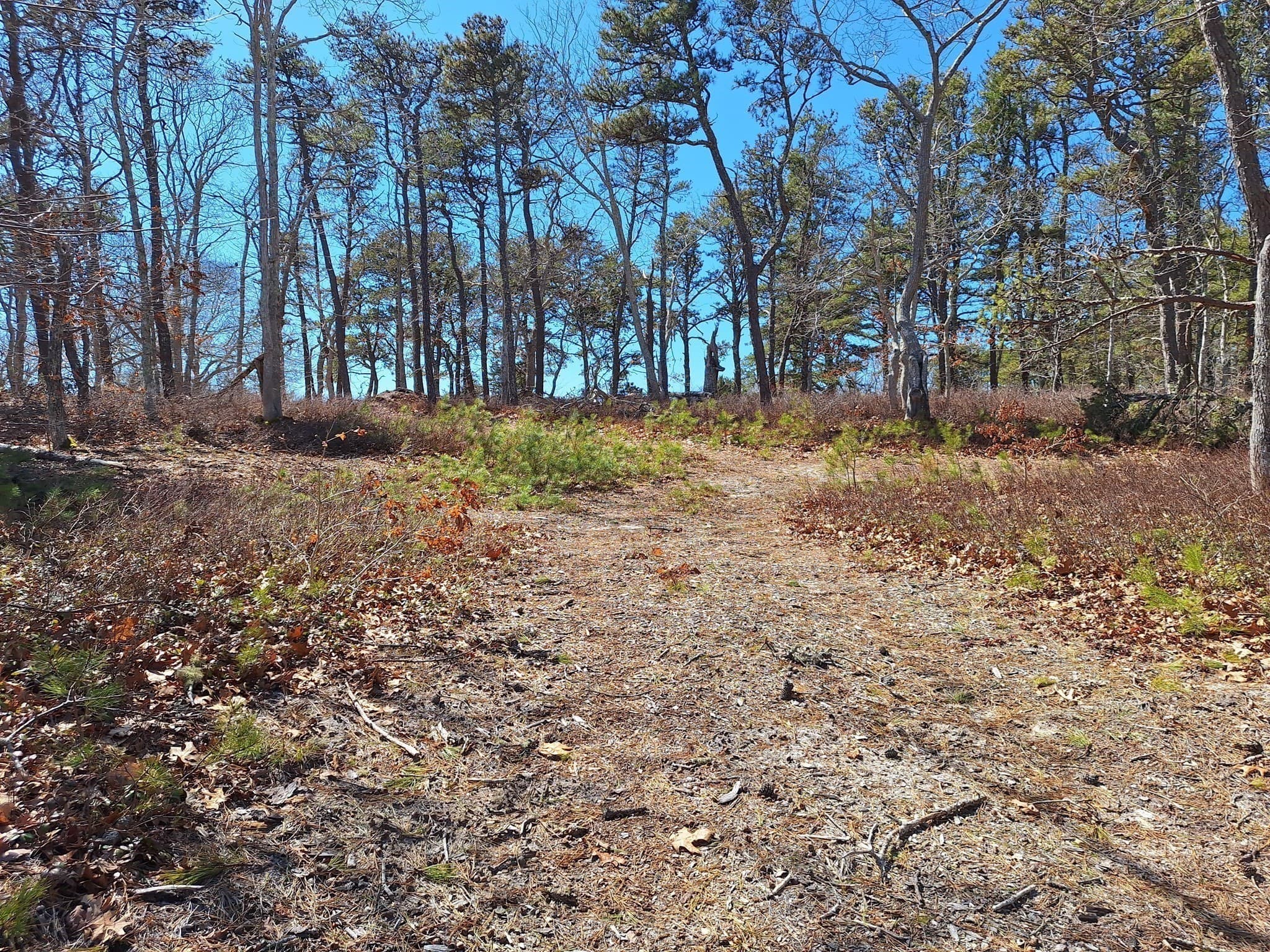 Residential at 37 Oak Valley Rd, Wellfleet MA 02667, photo 12 of 14