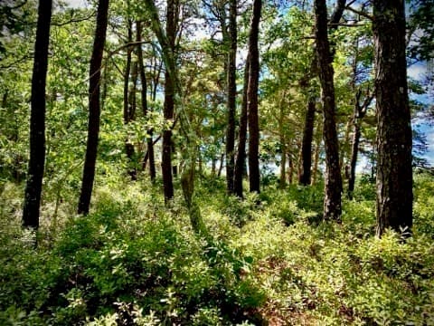 Residential at 37 Oak Valley Rd, Wellfleet MA 02667, photo 3 of 14
