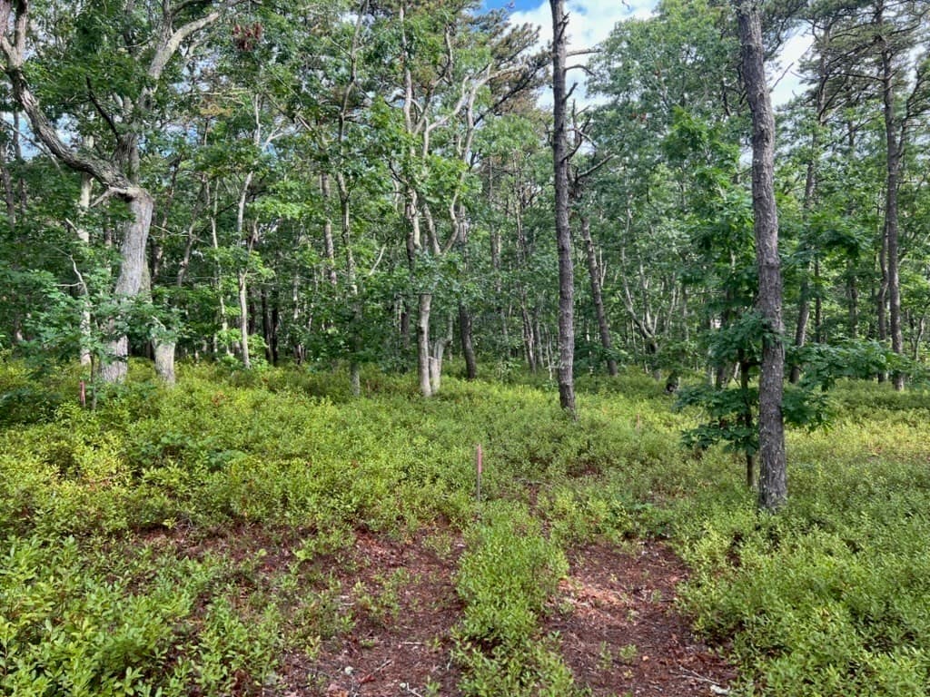 37 Oak Valley Rd, Wellfleet MA 02667