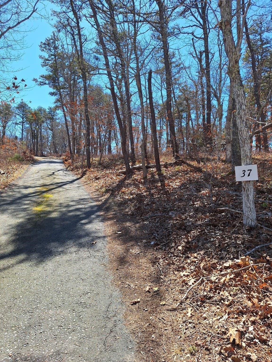 Residential at 37 Oak Valley Rd, Wellfleet MA 02667, photo 9 of 14