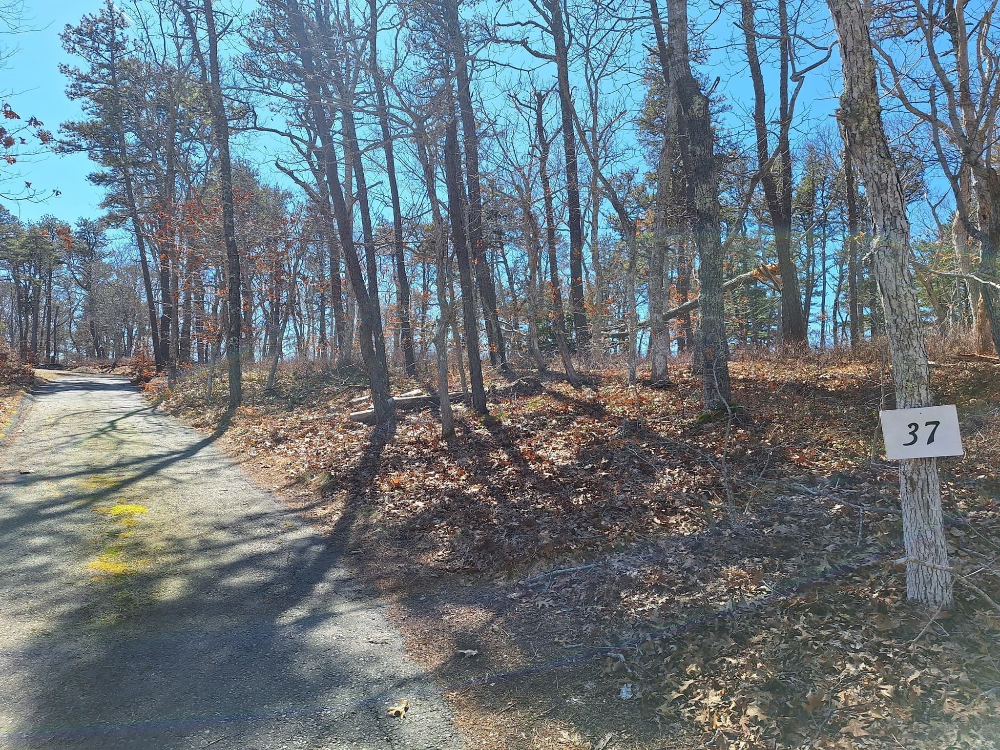 Residential at 37 Oak Valley Rd, Wellfleet MA 02667, photo 10 of 14