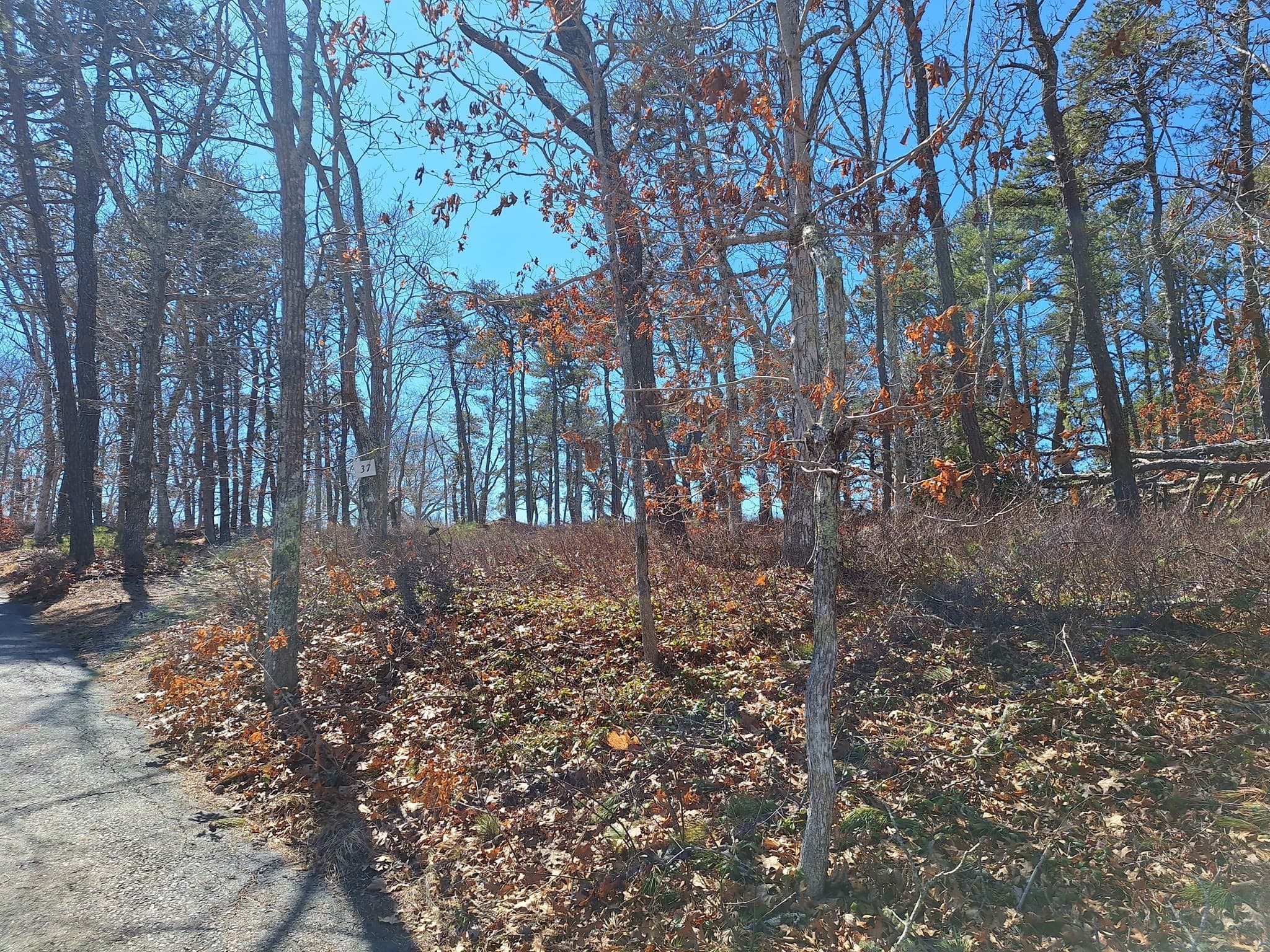 Residential at 37 Oak Valley Rd, Wellfleet MA 02667, photo 14 of 14