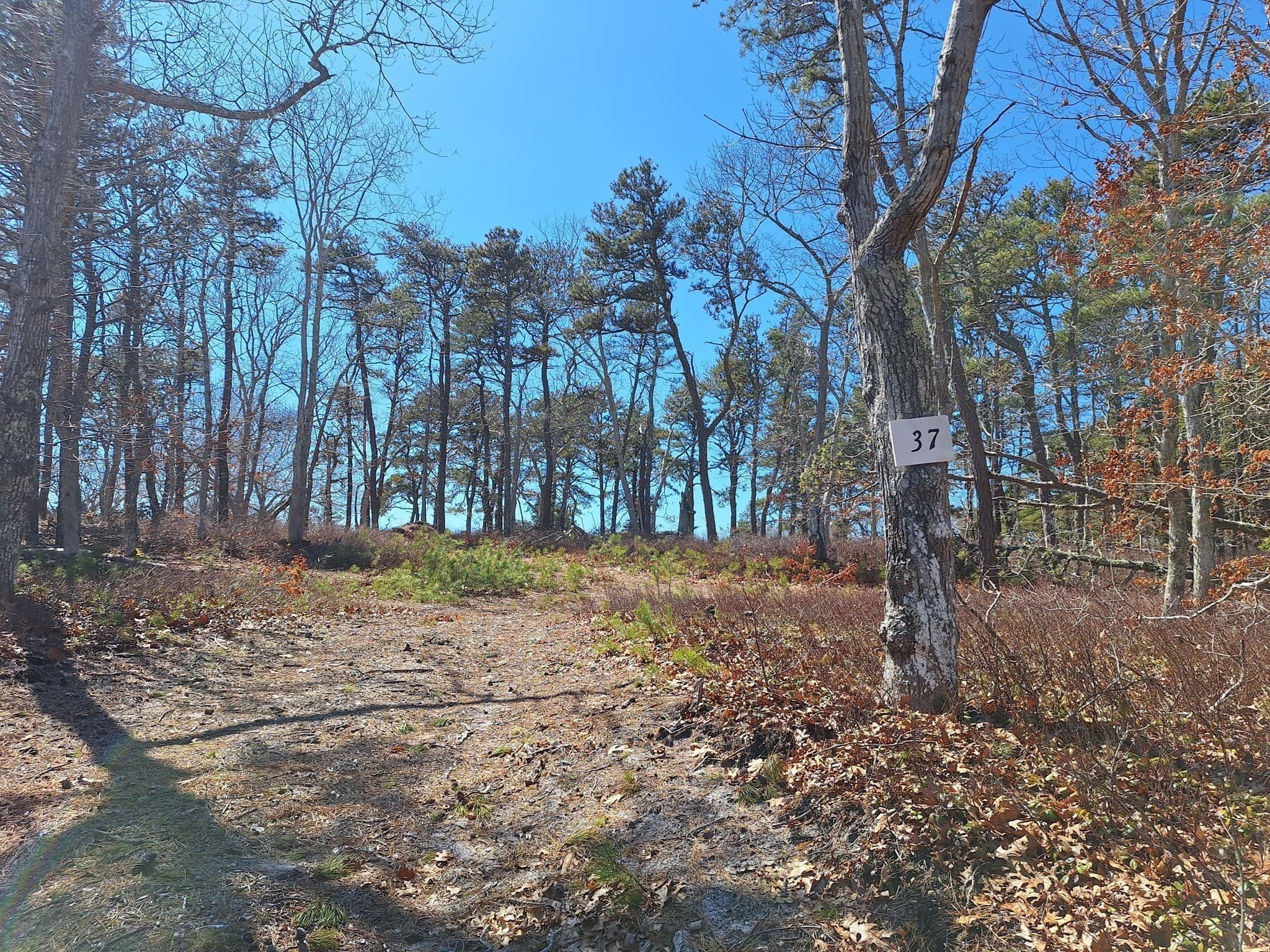 Residential at 37 Oak Valley Rd, Wellfleet MA 02667, photo 11 of 14