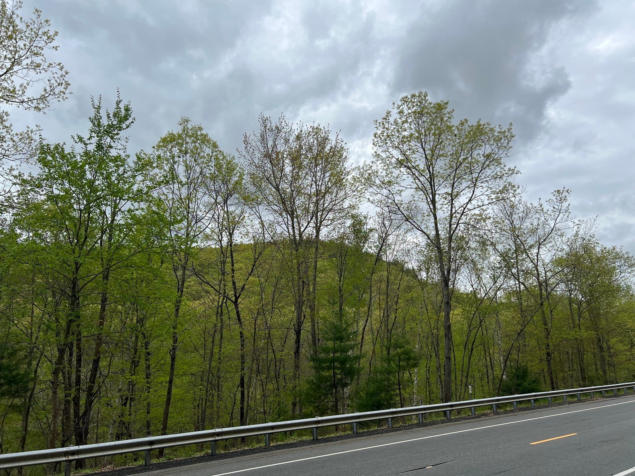Residential at Lot 34 Old Warren Road, Palmer MA 01069, photo 6 of 9