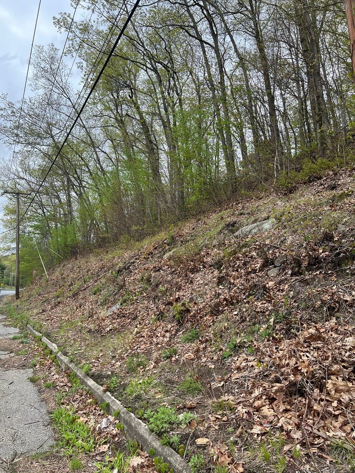 Residential at Lot 34 Old Warren Road, Palmer MA 01069, photo 3 of 9