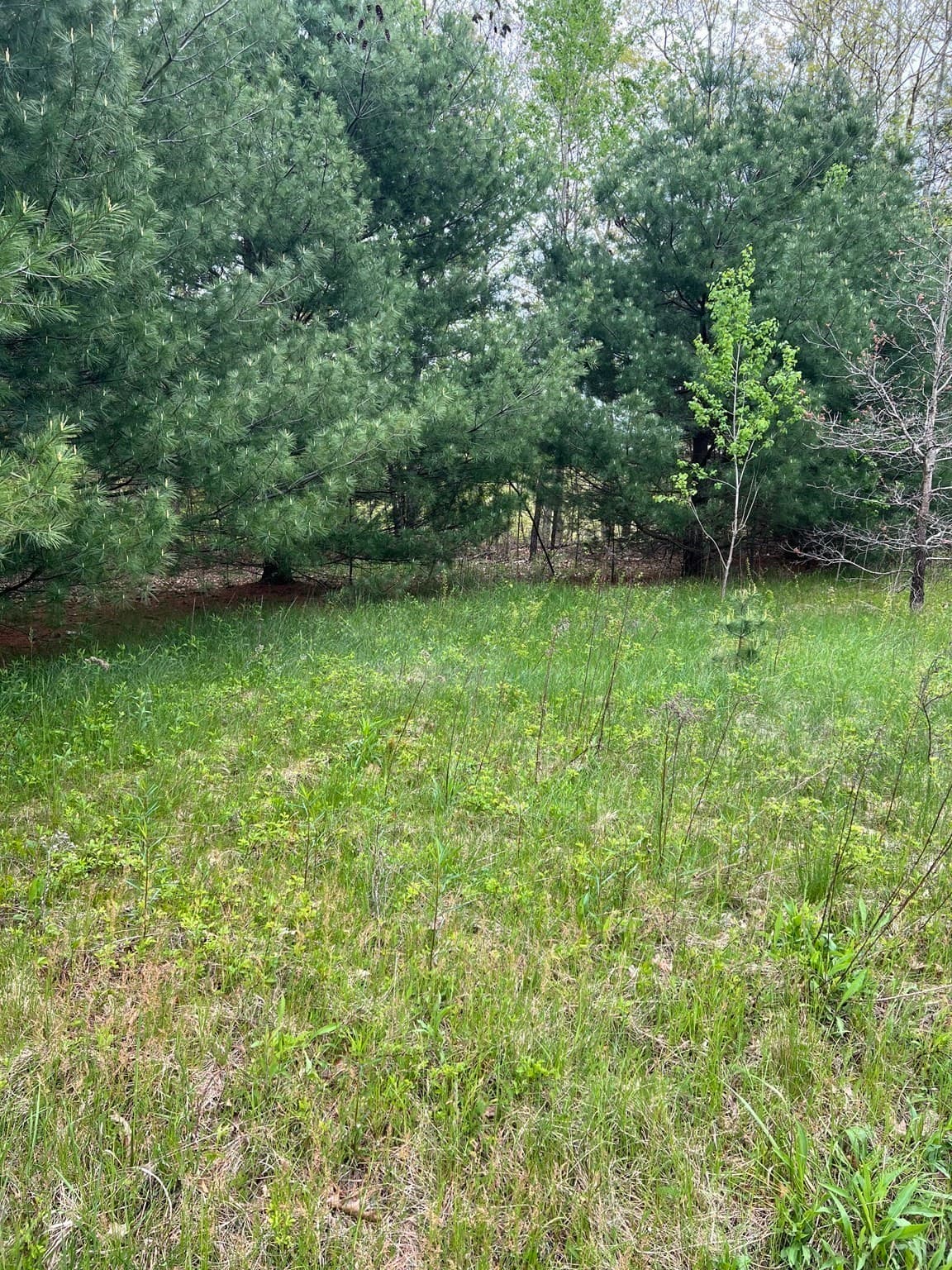 Residential at 599-607 Old Warren Road, Palmer MA 01069, photo 7 of 13