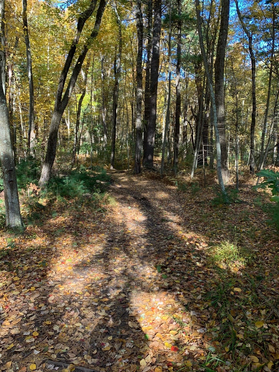 90 Maple St, Sherborn MA 01770
