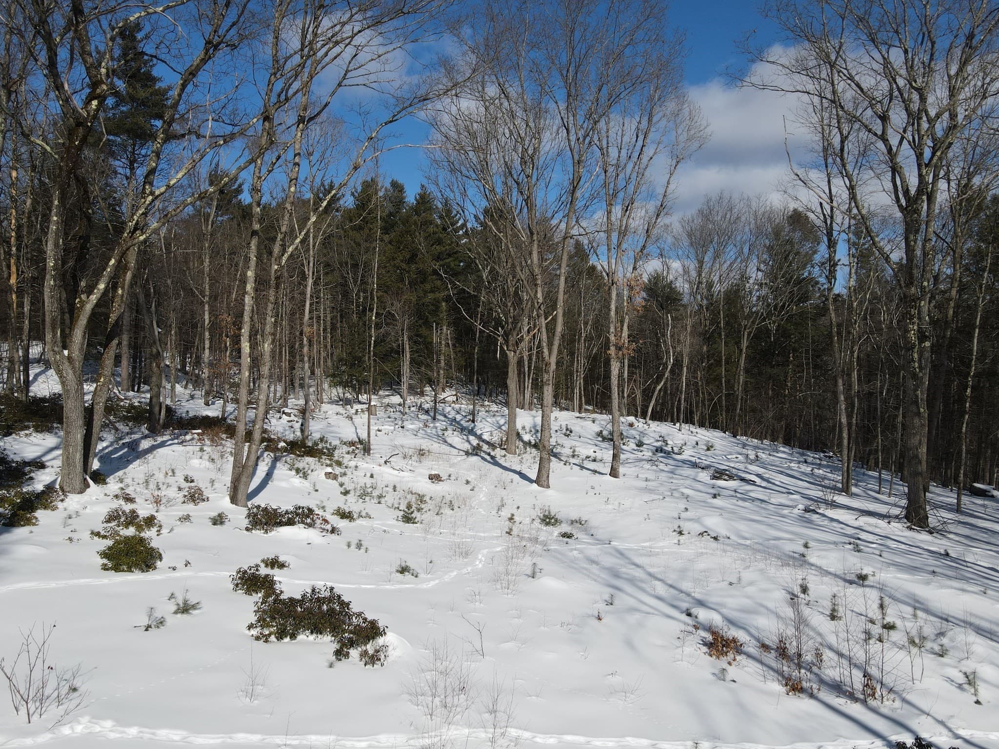 Residential at 0 Fox Hill Rd, Bernardston MA 01337, photo 2 of 18