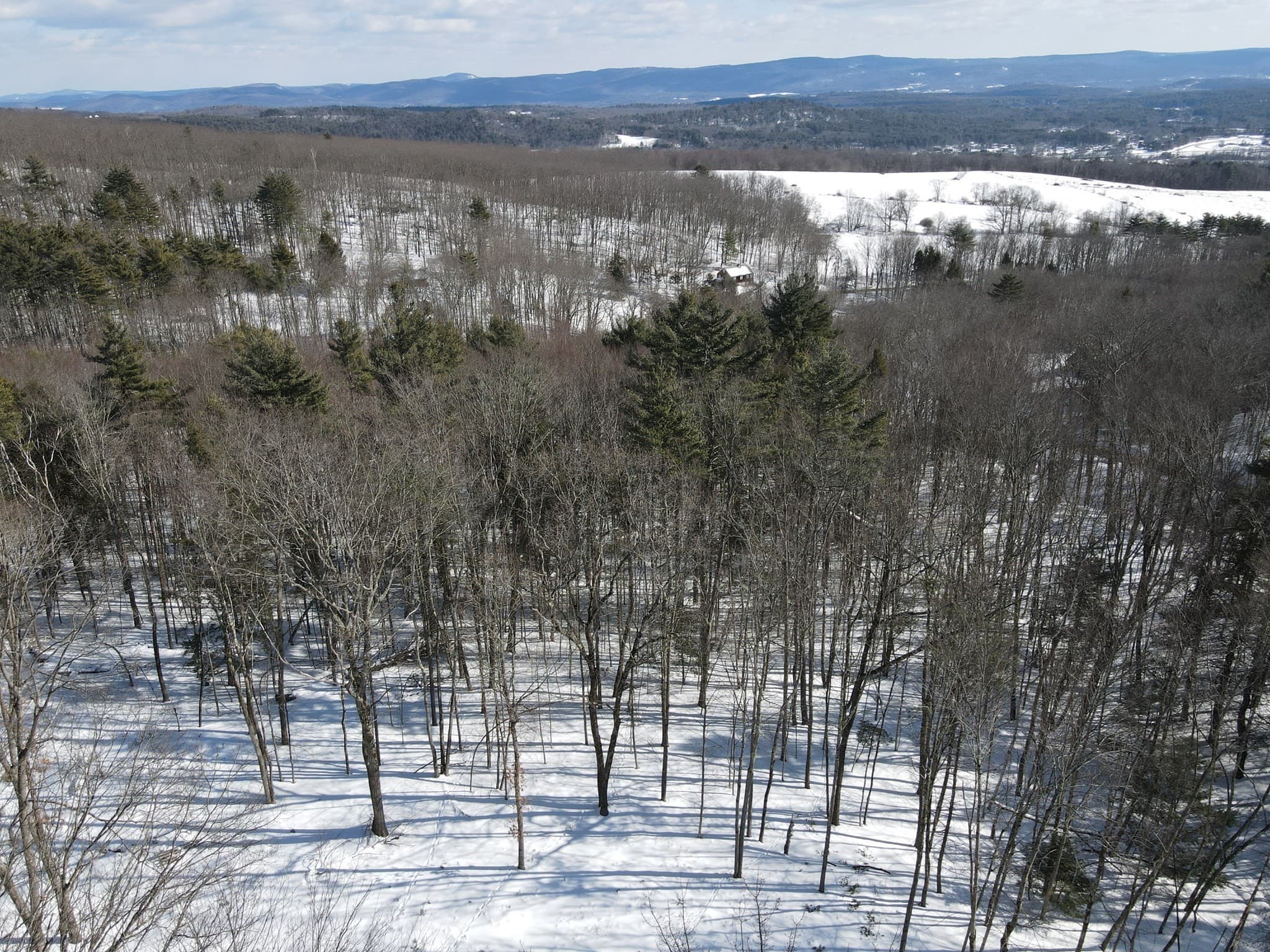 Residential at 0 Fox Hill Rd, Bernardston MA 01337, photo 6 of 18