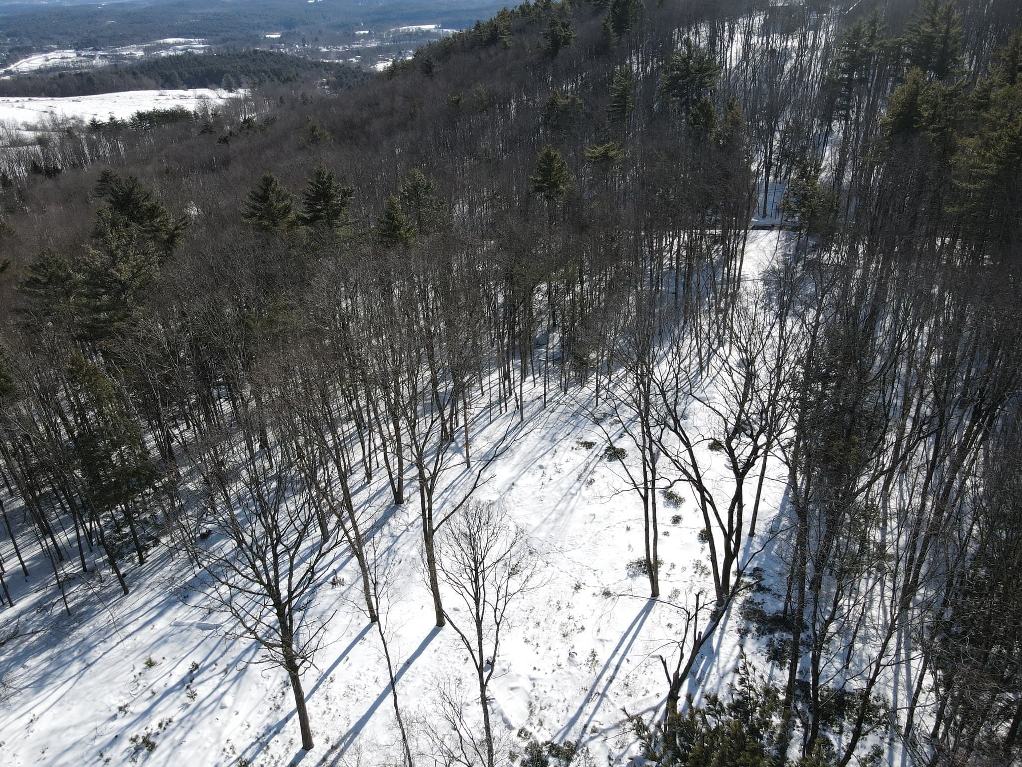 Residential at 0 Fox Hill Rd, Bernardston MA 01337, photo 7 of 18