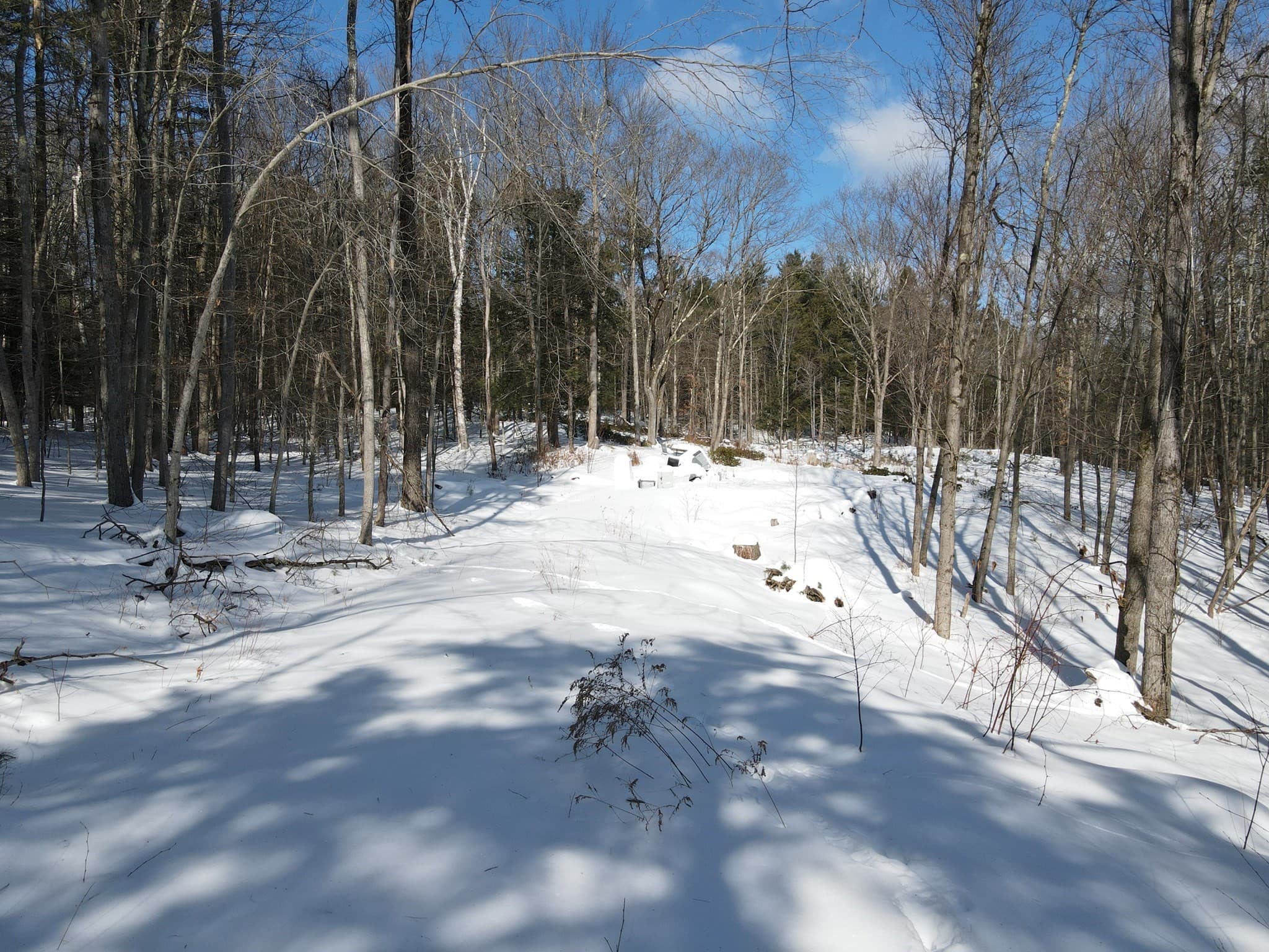 0 Fox Hill Rd, Bernardston MA 01337